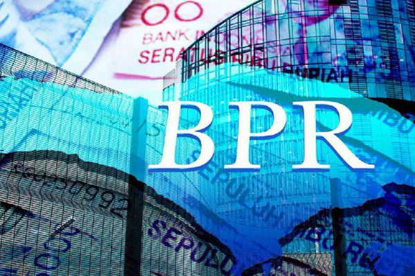 PPSK 法颁布后 BPR 能够在证券交易所上市